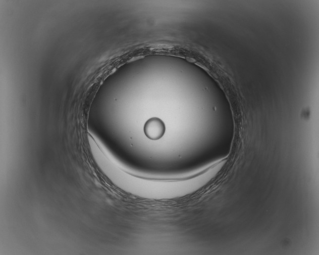 X0000116851445201001051456