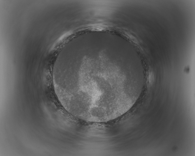 X0000116851446201001051456