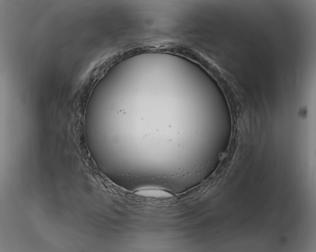 X0000116851447201001051456