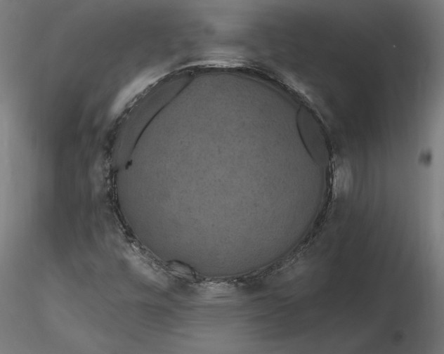 X0000116851448201001051456