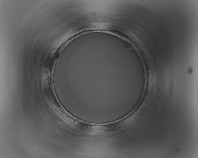 X0000116851449201001051456