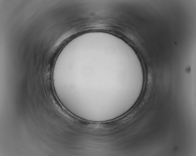 X0000116851450201001051456