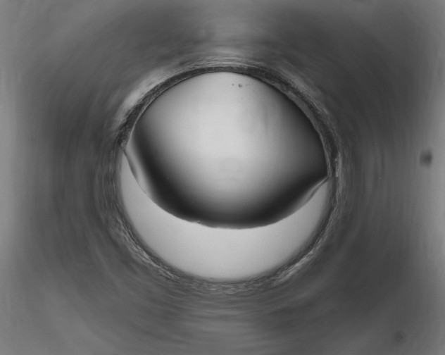 X0000116851453201001051456