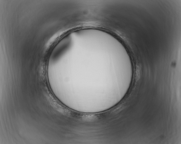 X0000116851454201001051456