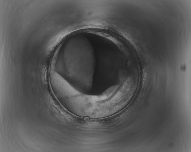 X0000116851455201001051456