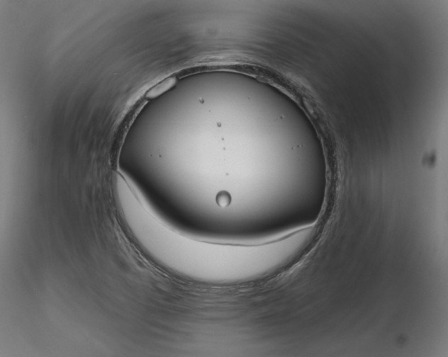 X0000116851457201001051456