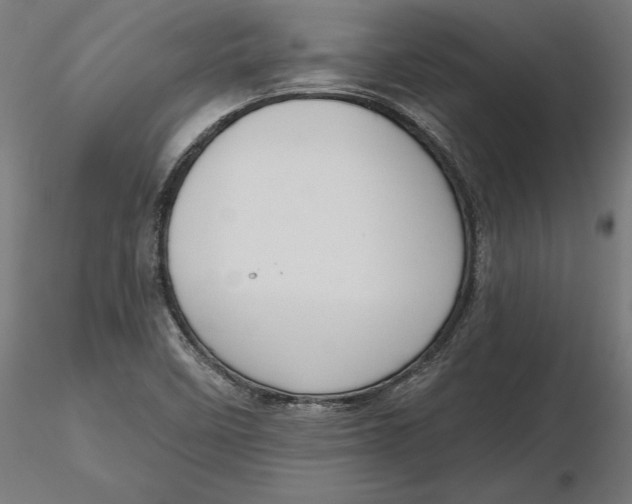 X0000116851458201001051456
