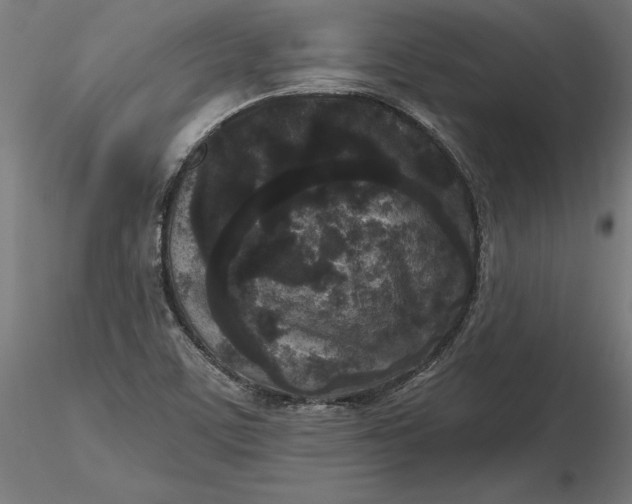 X0000116851459201001051456