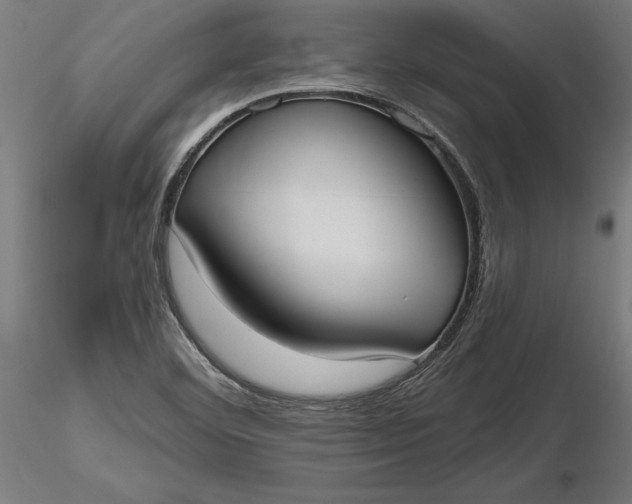 X0000116851460201001051456