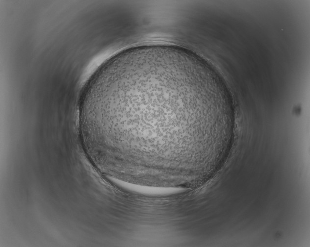 X0000116851461201001051456
