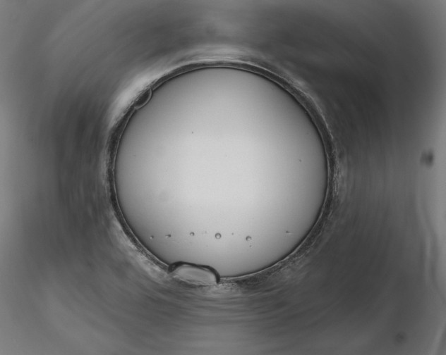X0000116851464201001051456