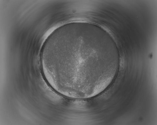 X0000116851466201001051456
