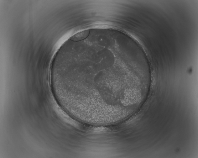 X0000116851467201001051456