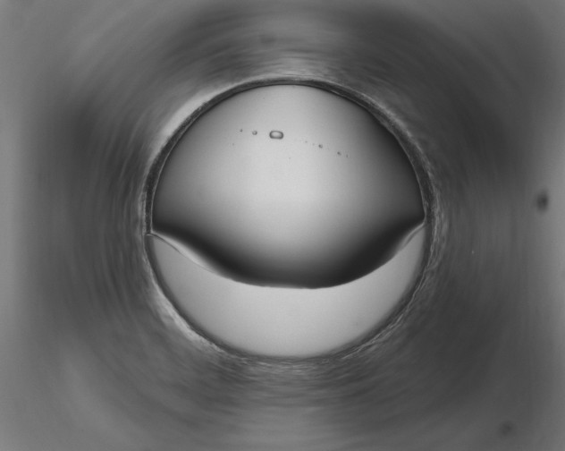 X0000116851468201001051456