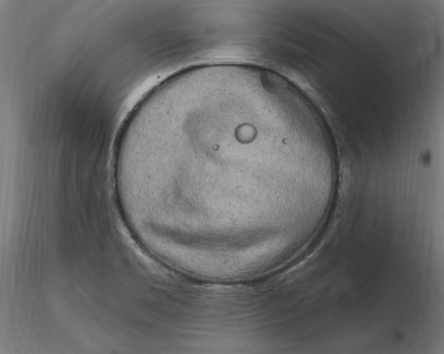 X0000116851469201001051456