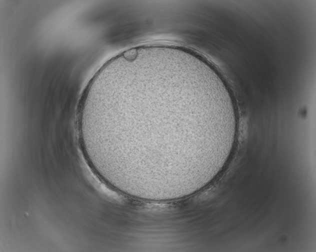 X0000116851470201001051456