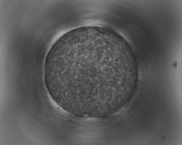 X0000116851471201001051456