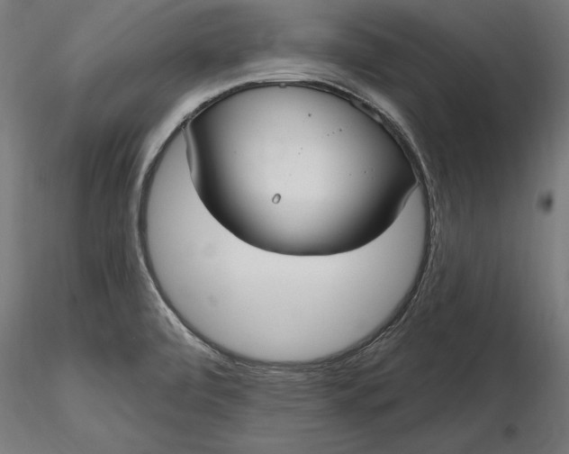 X0000116851472201001051456