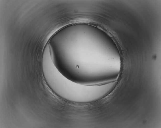 X0000116851473201001051456