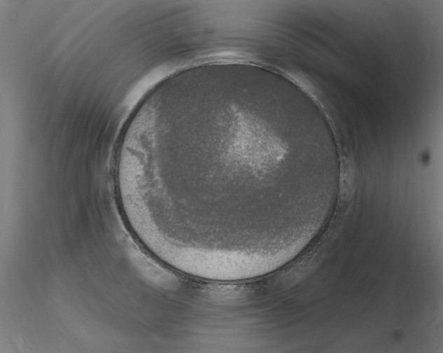 X0000116851474201001051456