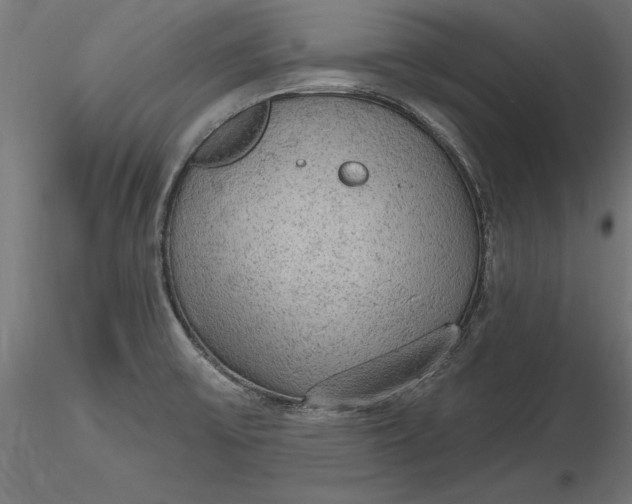 X0000116851475201001051456