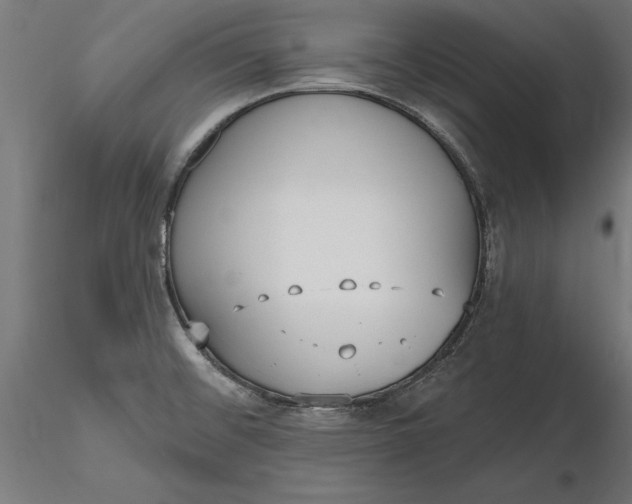 X0000116851476201001051456