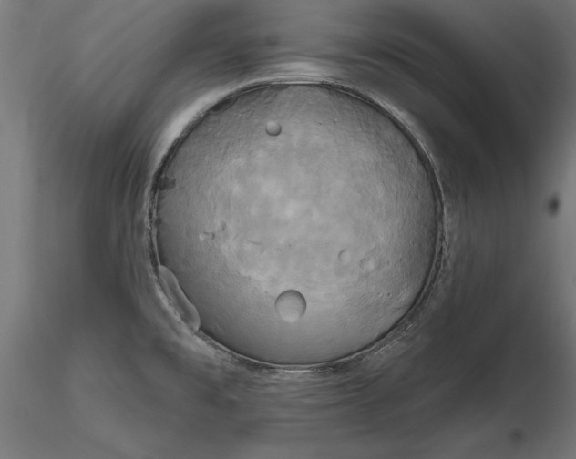 X0000116851477201001051456