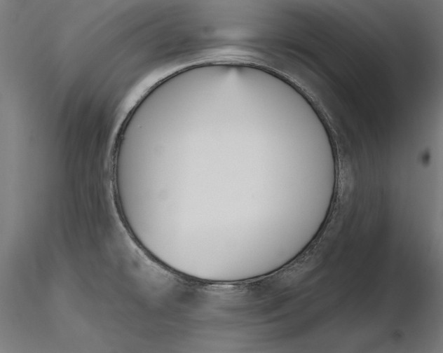 X0000116851478201001051456