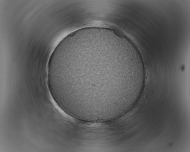 X0000116851479201001051456