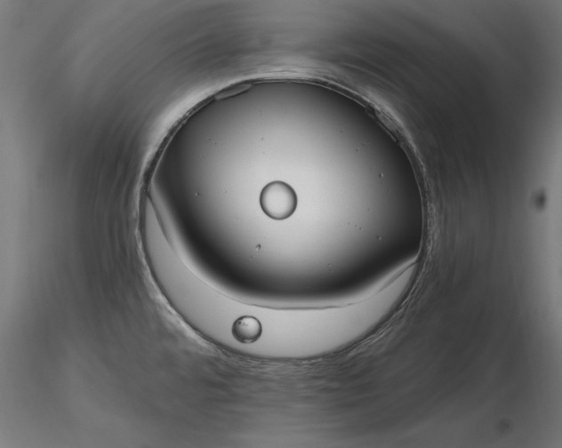 X0000116851480201001051456