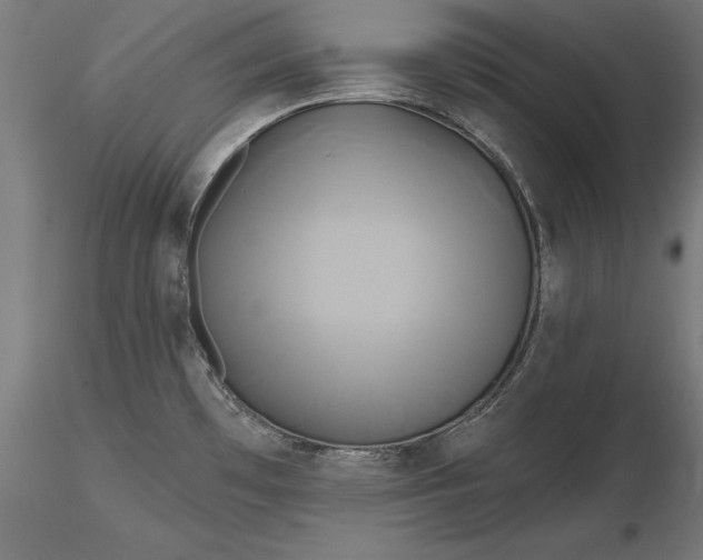 X0000116851481201001051456