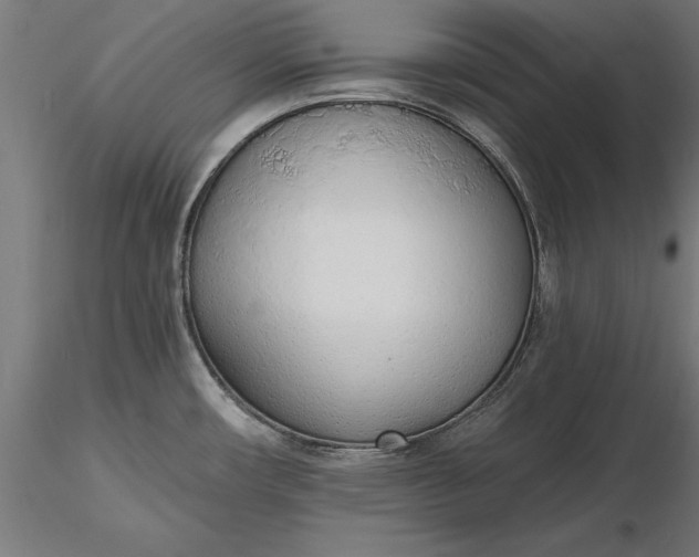 X0000116851482201001051456