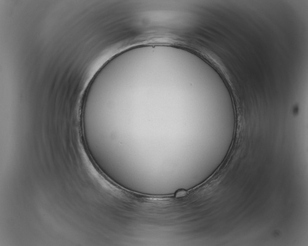 X0000116851483201001051456