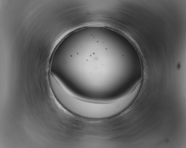 X0000116851484201001051456