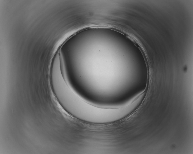 X0000116851485201001051456
