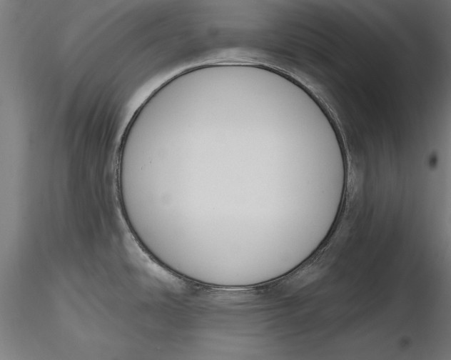 X0000116851486201001051456