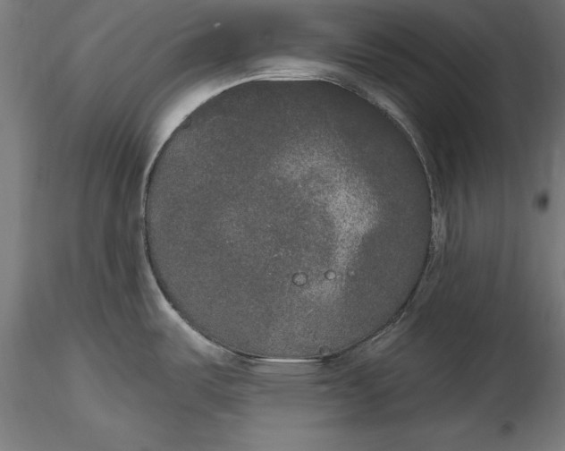 X0000116851487201001051456