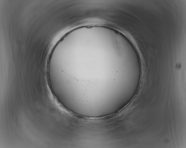 X0000116851488201001051455