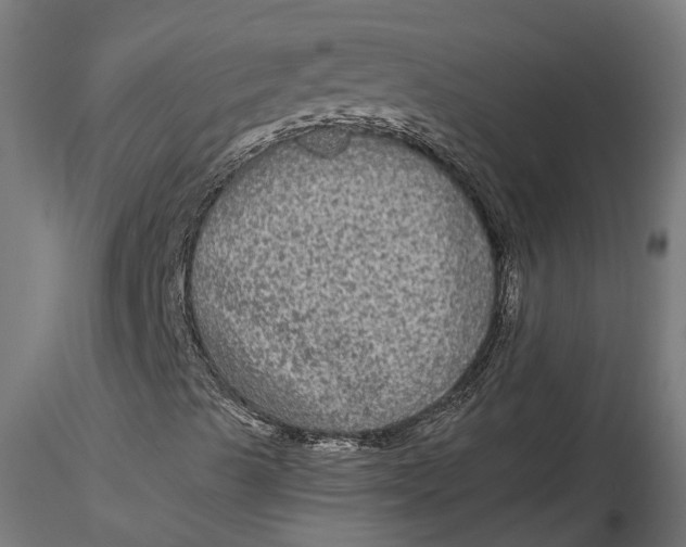 X0000116851489201001051455