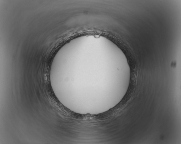 X0000116851490201001051455
