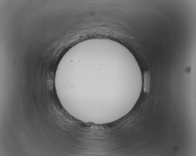 X0000116851491201001051455