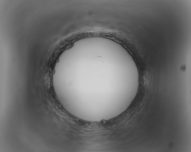 X0000116851493201001051455