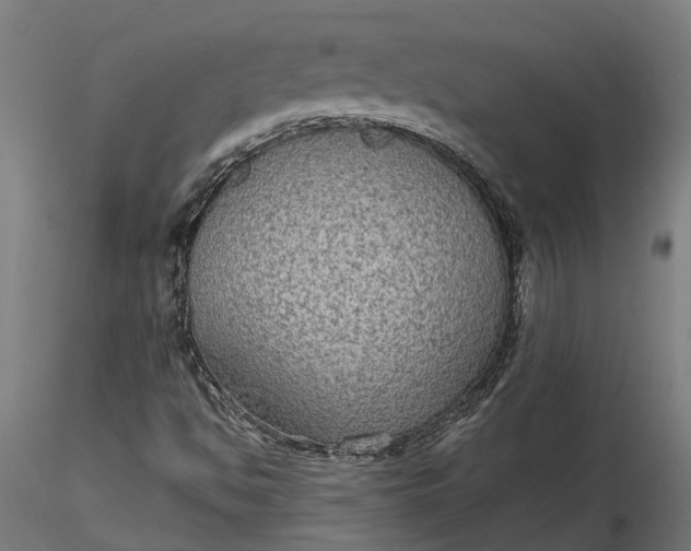 X0000116851494201001051455