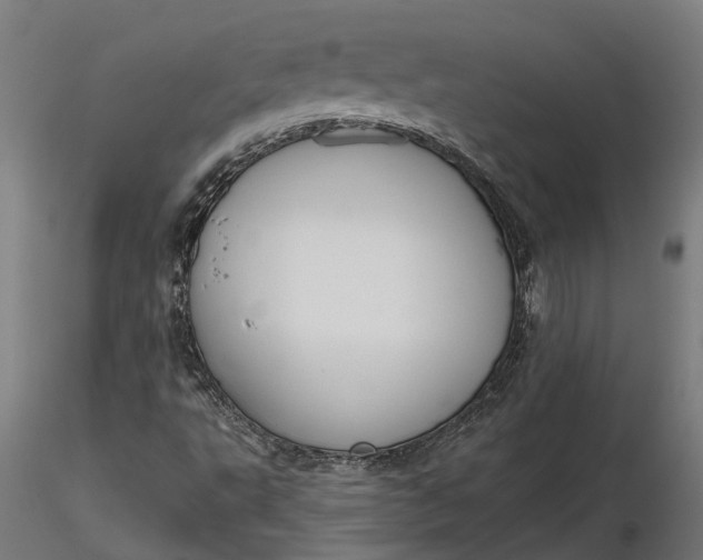 X0000116851495201001051455