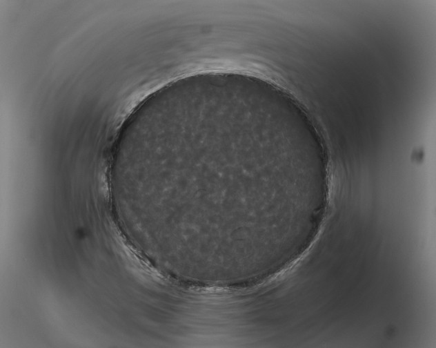 X0000116851497201001051455