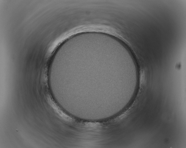 X0000116851498201001051455