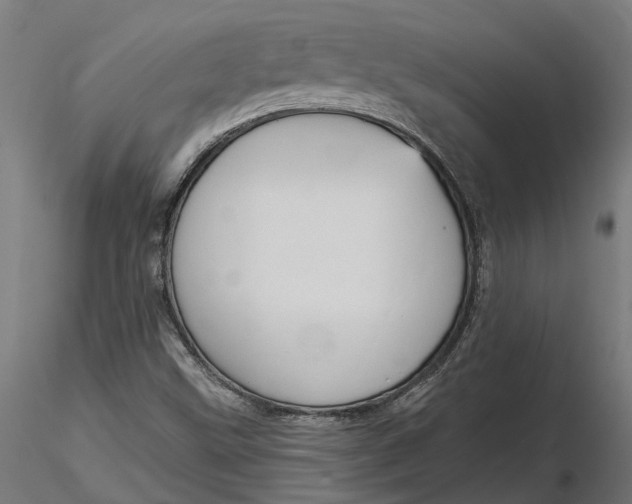 X0000116851499201001051455