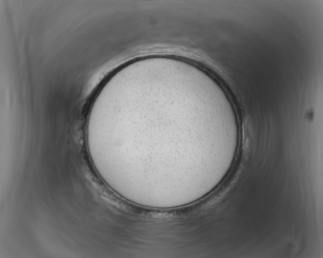 X0000116851501201001051455