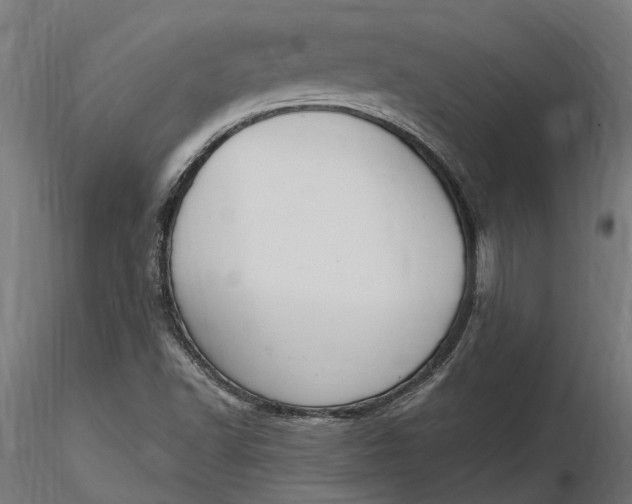 X0000116851502201001051455