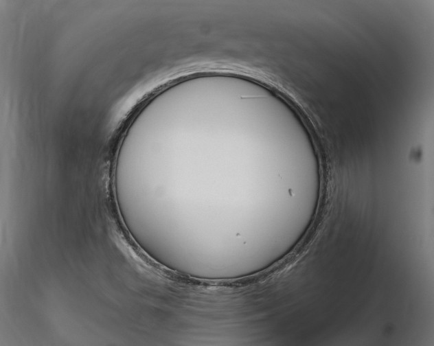 X0000116851503201001051455